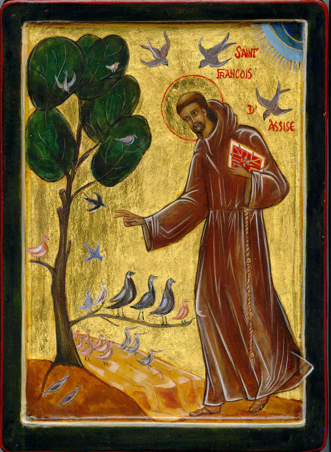 Ecologie - Saint François