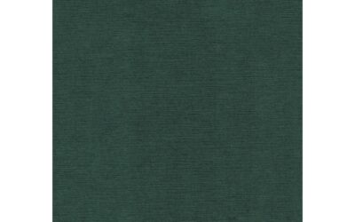 Welcoming the CIASE report