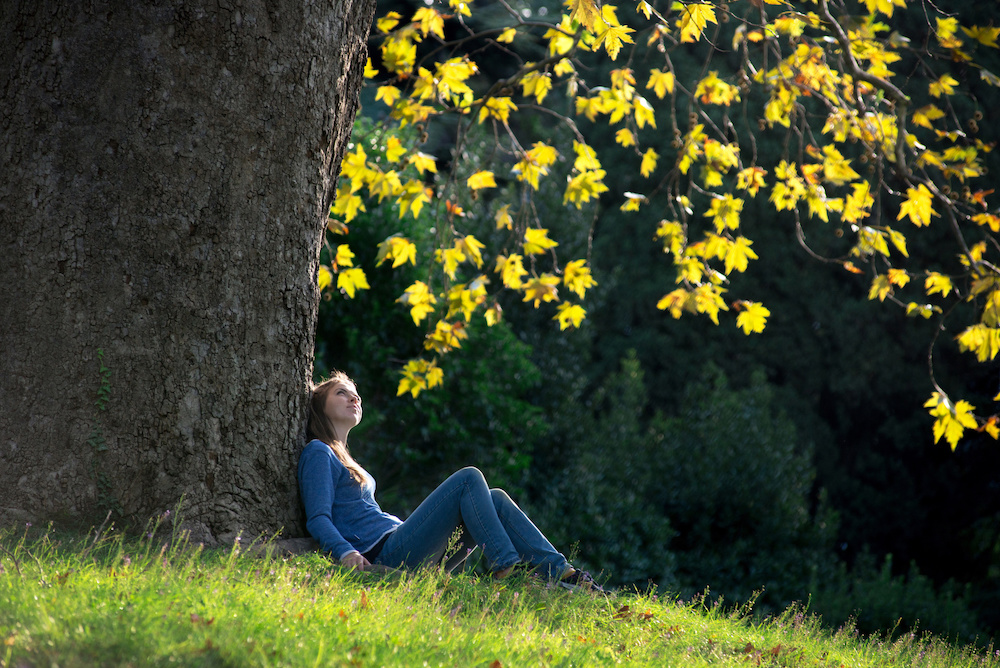 Girl sitting on the grass under a maple tree in autumn