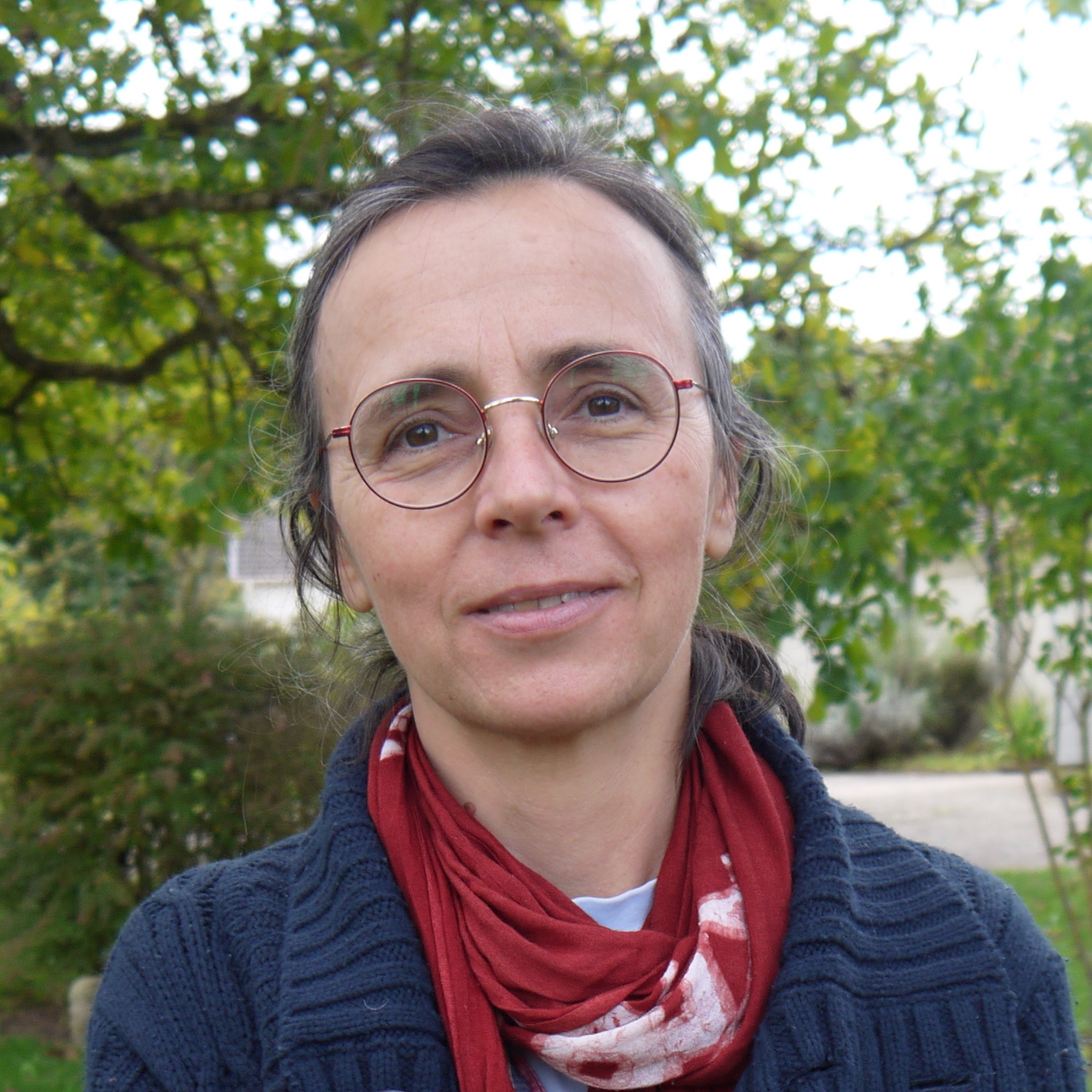 v3 Aude