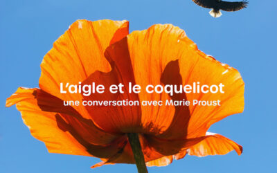 L’aigle et le coquelicot