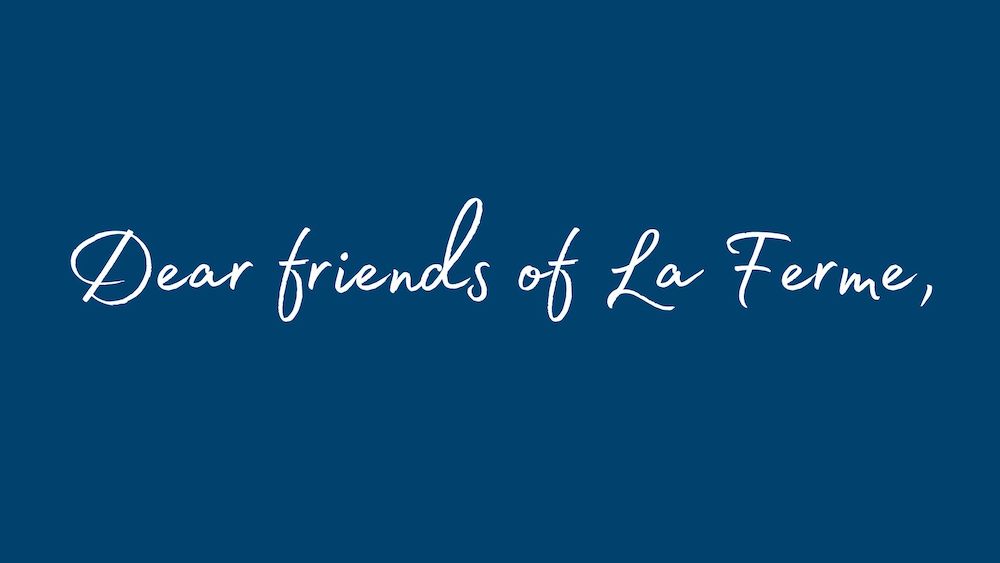 đȘ¶ Letter to our friends
