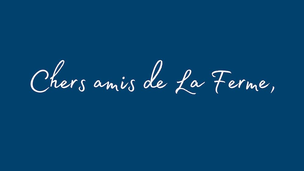 🪶 Lettre à nos amis